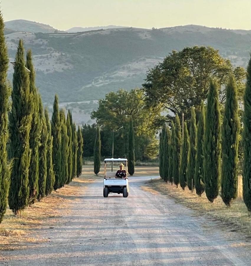 Ca' Del Conte - Maison De Charme Bed & Breakfast