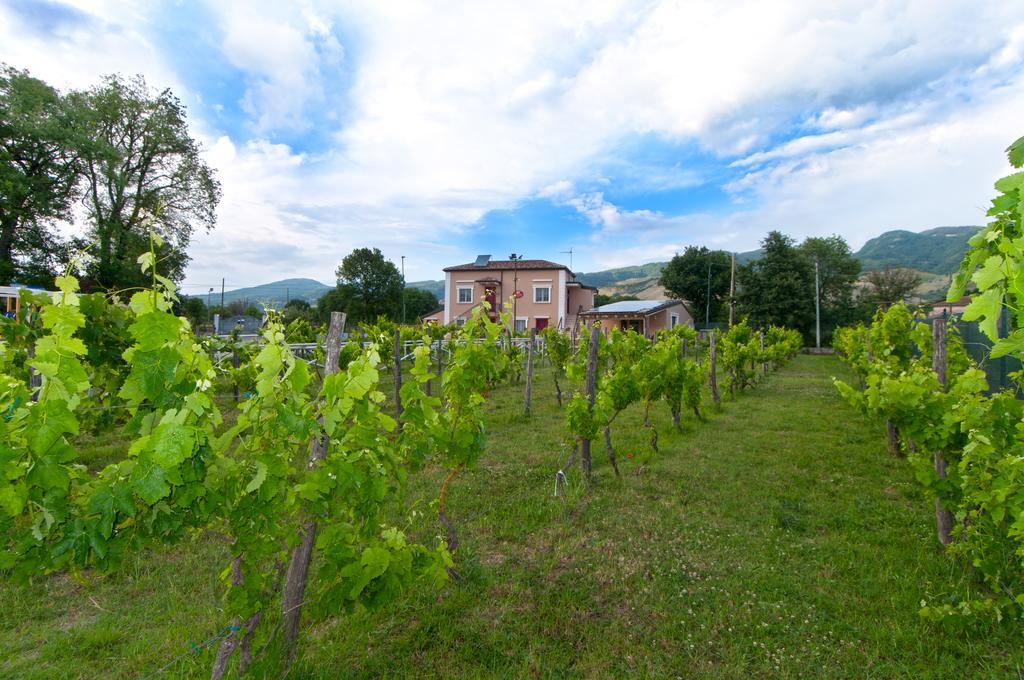 Bed & Breakfast Ca' Del Conte - Maison De Charme Padula